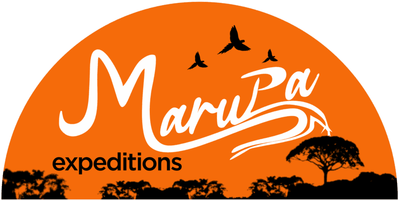 Marupa Expeditions Amazon Tours